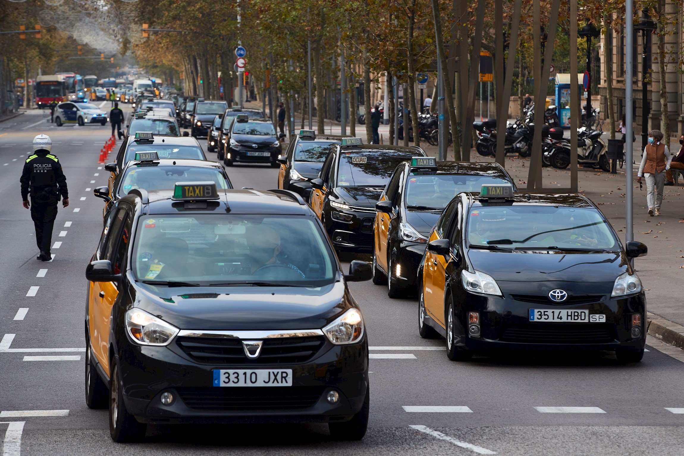 El Govern autoriza a los entes locales a regular la oferta de taxi