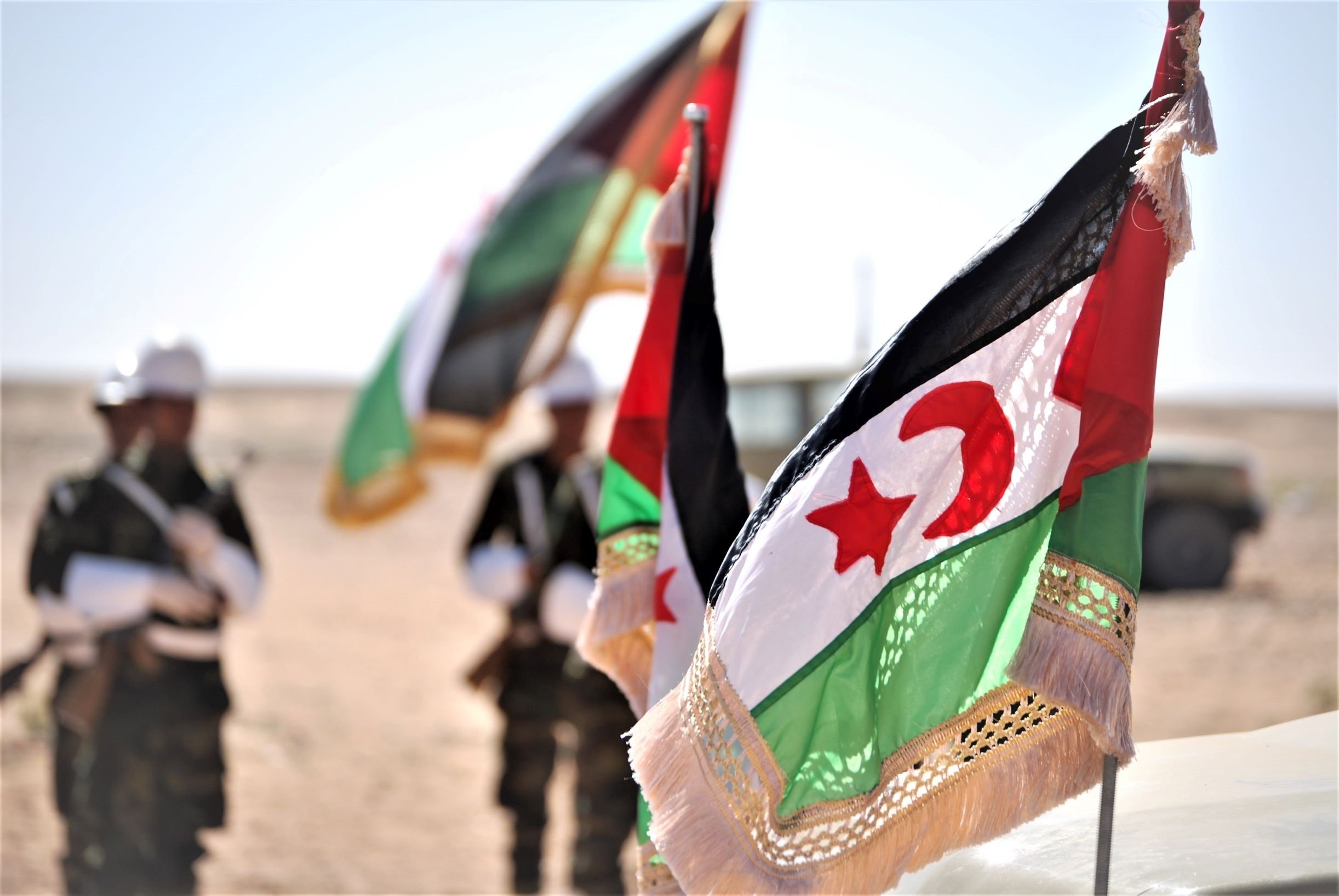 Casi 400 entidades exigen al Gobierno que medie en el Sáhara Occidental