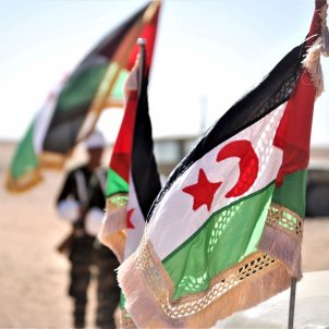 banderas sahara occidental - europa press banderas sahara occidental - europa press