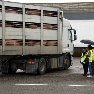 Els escorxadors hauran d'instal·lar càmeres de vigilància per vetllar pel benestar animal
