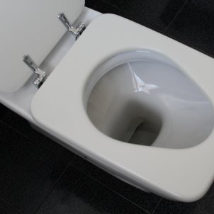 wc no contaminante-pixabay wc no contaminante-pixabay
