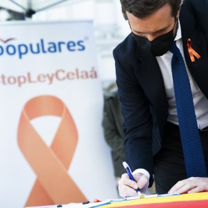 casado signa contra llei celaa / David Mudarra PP casado signa contra llei celaa / David Mudarra PP