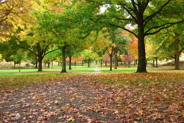 foto d'un parc unsplash