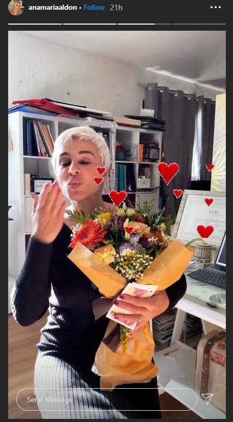 Ana María Aldón, Instagram