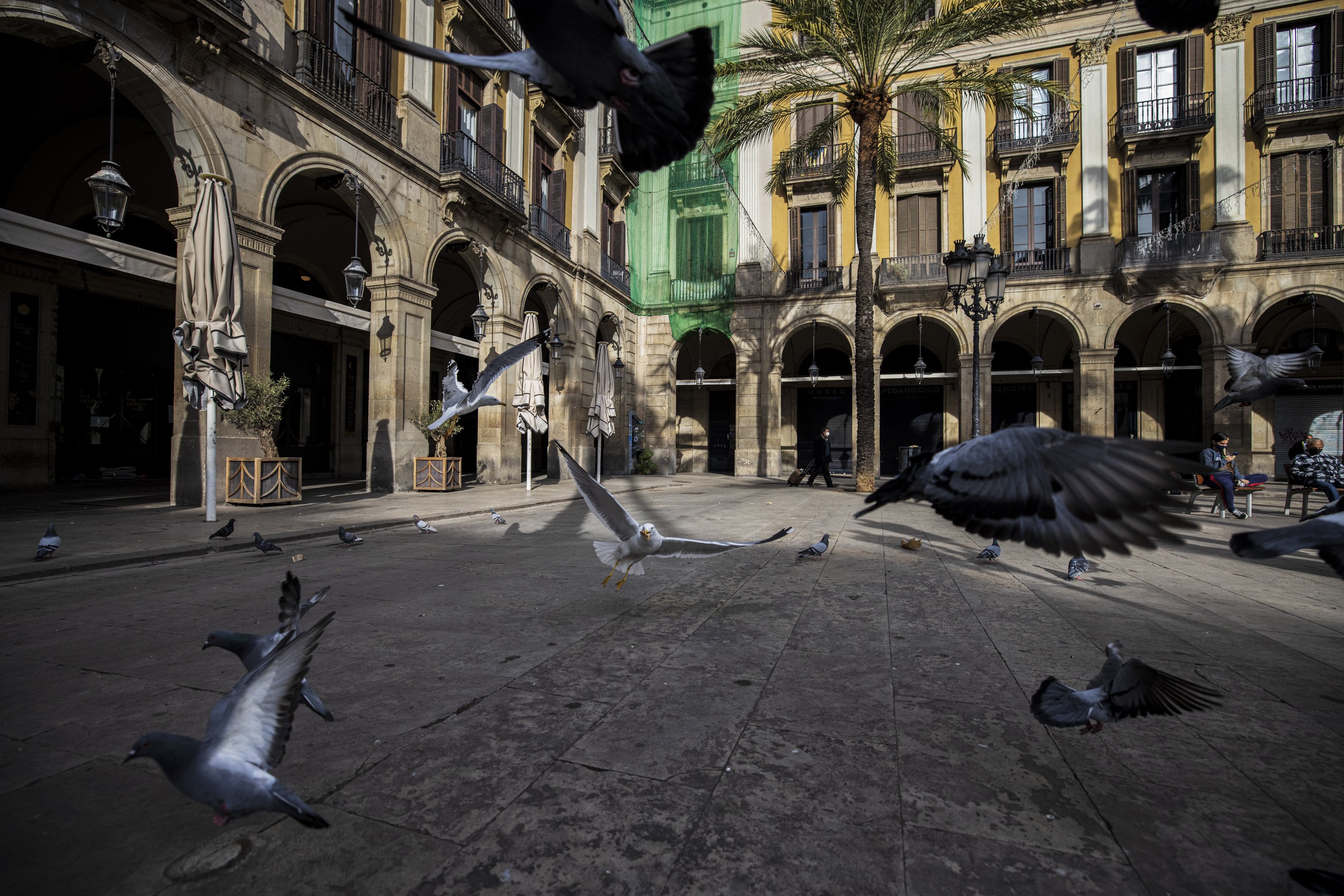 Cinco instalaciones efímeras sorprenderán a barceloneses y visitantes los próximos días