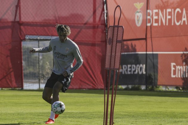 Todibo / Benfica