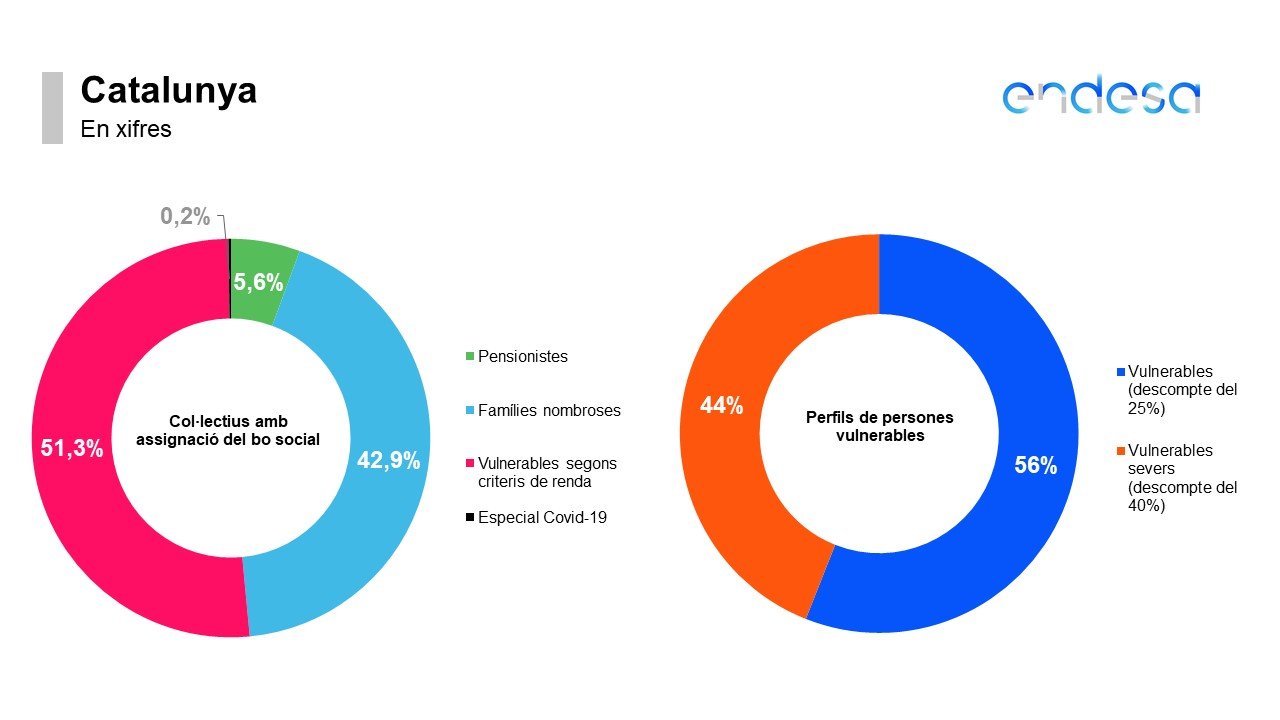 Bo Social persones llum - Endesa