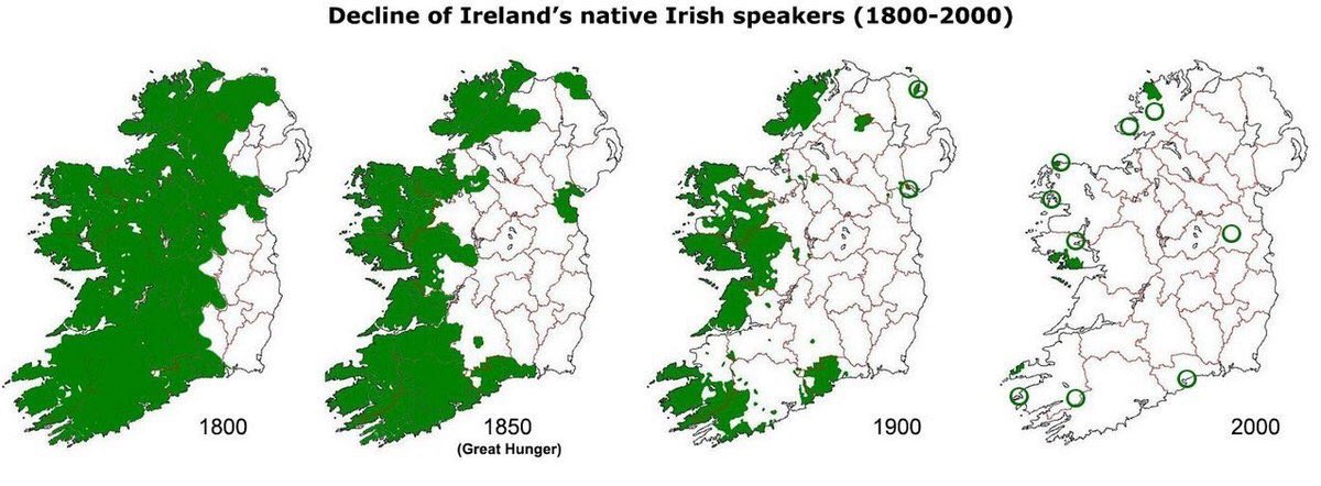 evolución irlandés