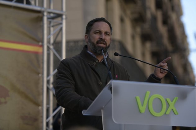 santiago abascal manifestacio 6D maria contreras coll