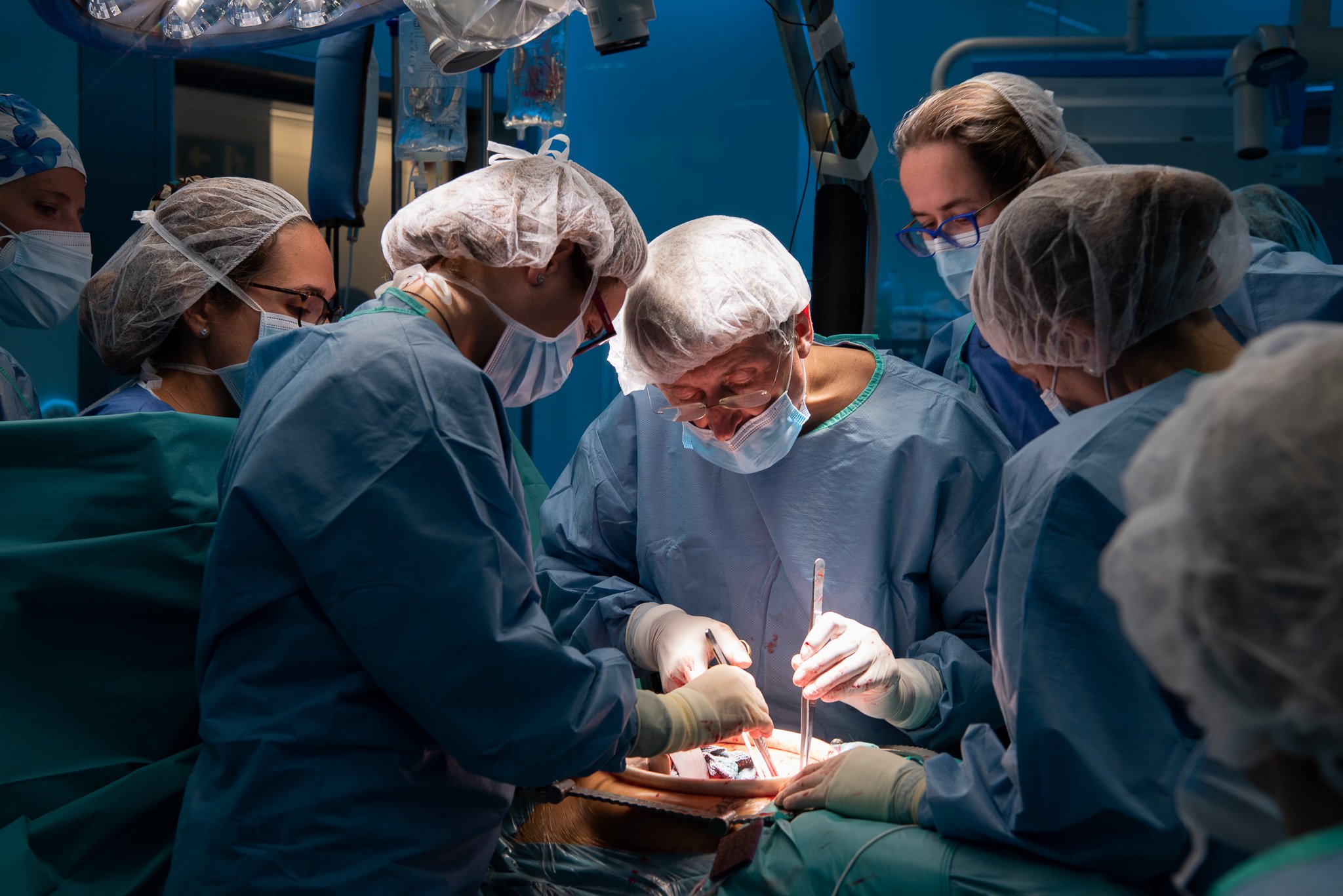L'Hospital Clínic fa el primer trasplantament d'úter a l'estat espanyol
