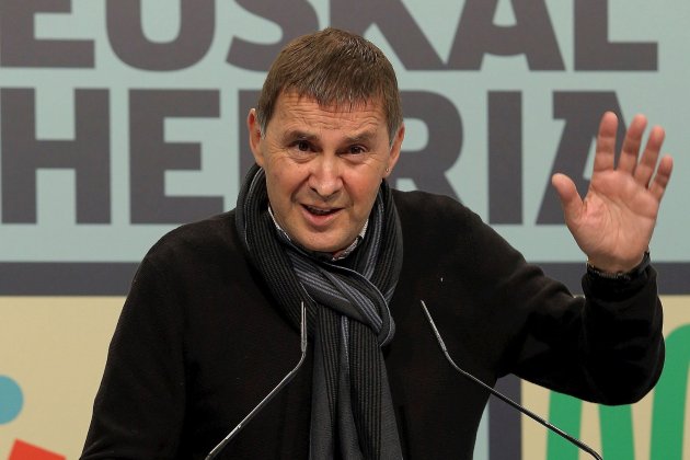 Arnaldo Otegi EH Bildu 6 des 2020 EFE