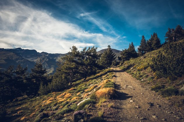 ando|camino montaña - unsplash