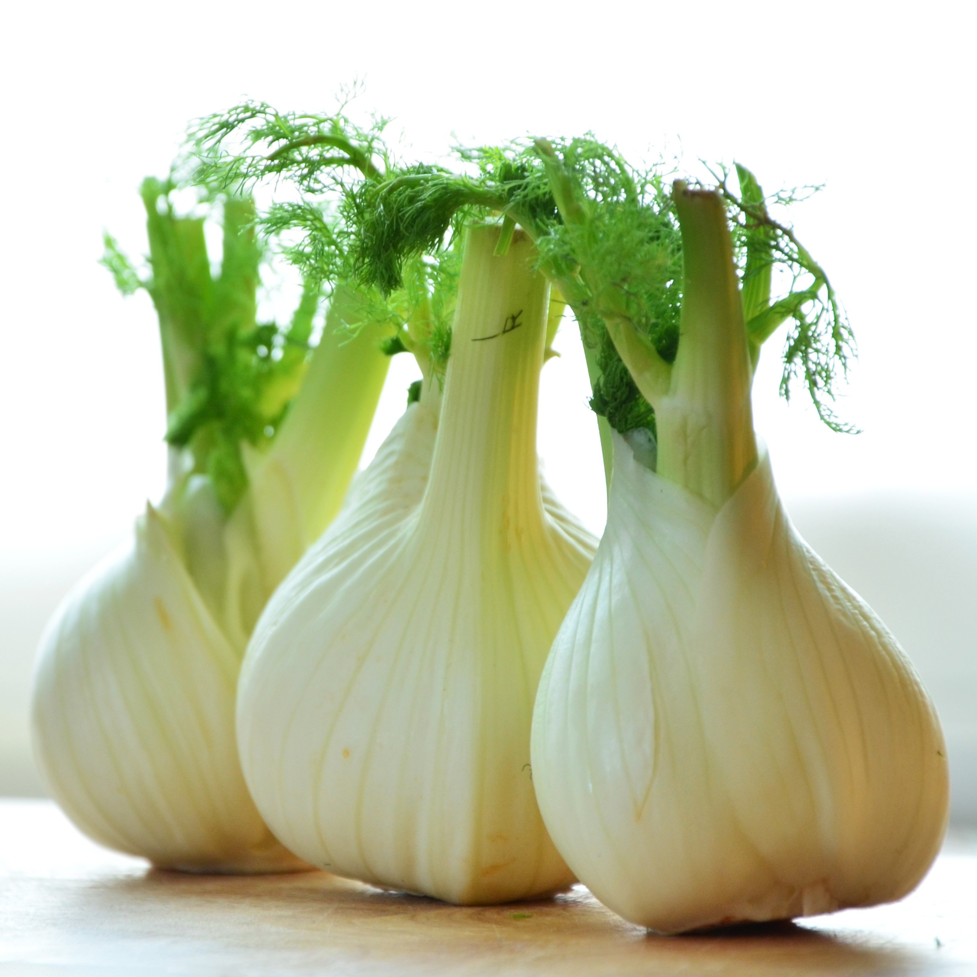 El fonoll, una verdura poc utilitzada però amb molts beneficis per a la salut