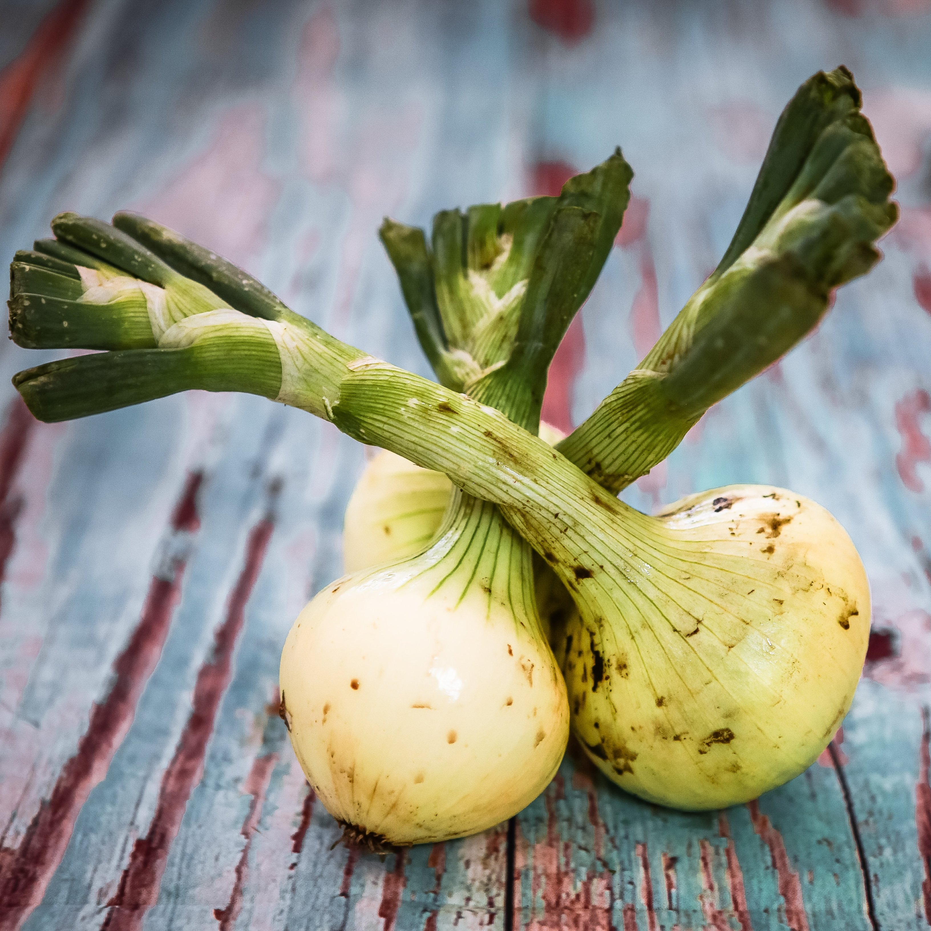 Les raons per les quals és tan important prendre aliments de temporada
