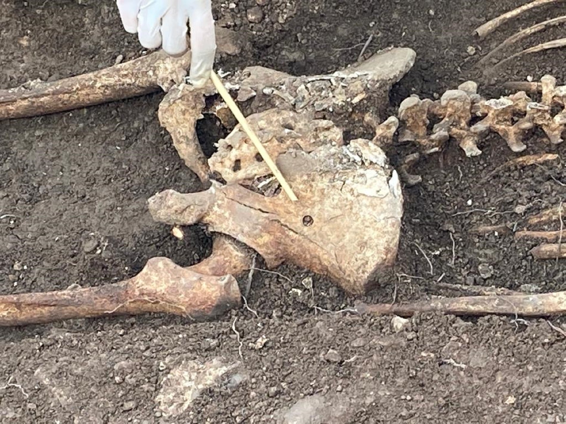 Identifiquen dos soldats de la Guerra Civil més a la fossa del Soleràs