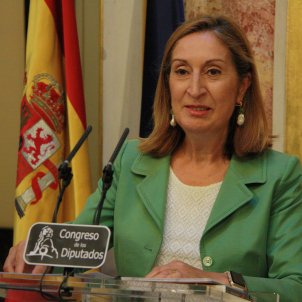 El Congreso ejecutará de inmediato la sentencia a Homs
