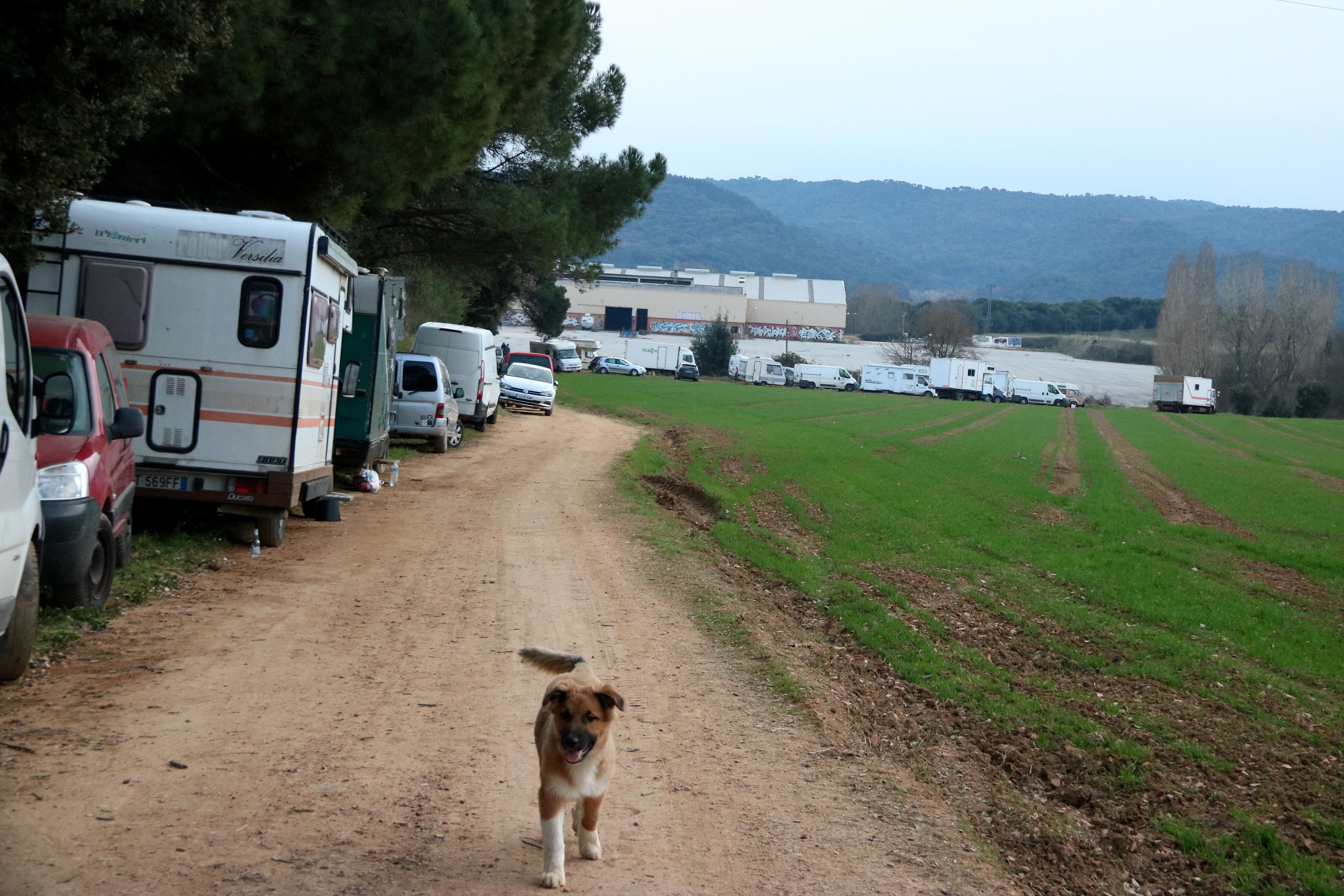 Els Mossos identifiquen tots els que marxen de la 'rave' de Llinars