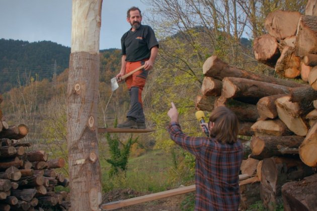 el forastero vallfogona tronco