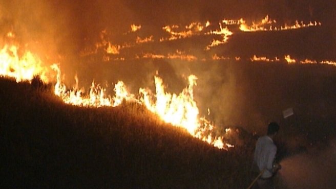 incendios catalunya 1994