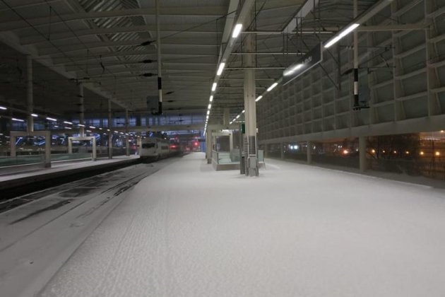 TEMPORAL renfe madrid - rodalies
