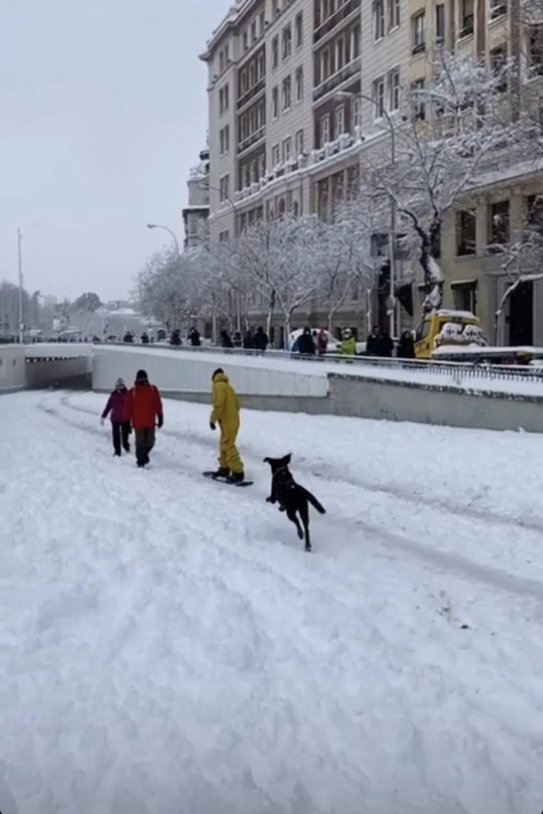 Jairo Alonso, pareja de Isabel Díaz Ayuso, hace snow en Madrid por Filomena @miguelfrigenti
