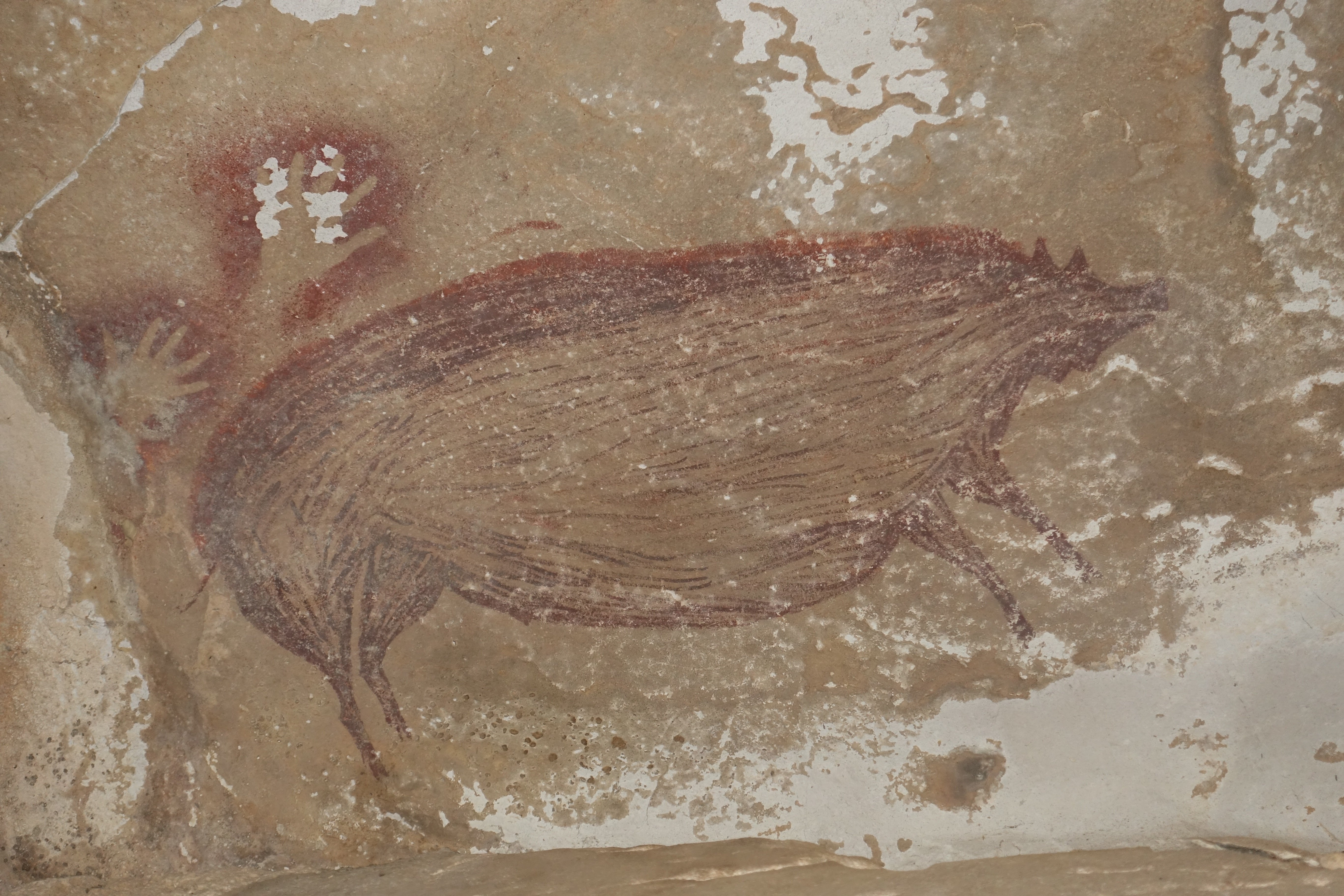 Hallazgo de película en Indonesia: un cerdo, la obra de arte más antigua del mundo