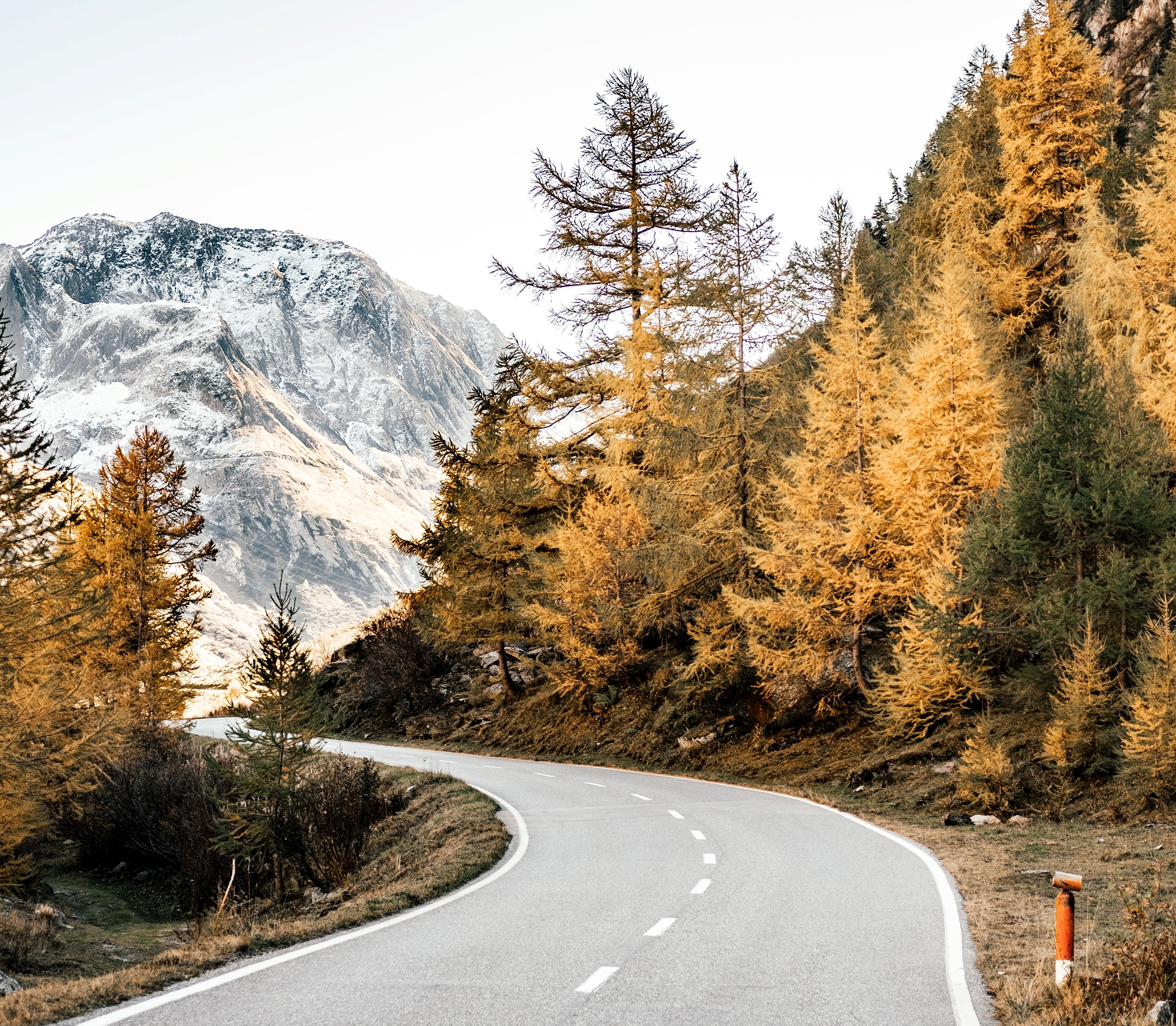 Camino   Unsplash