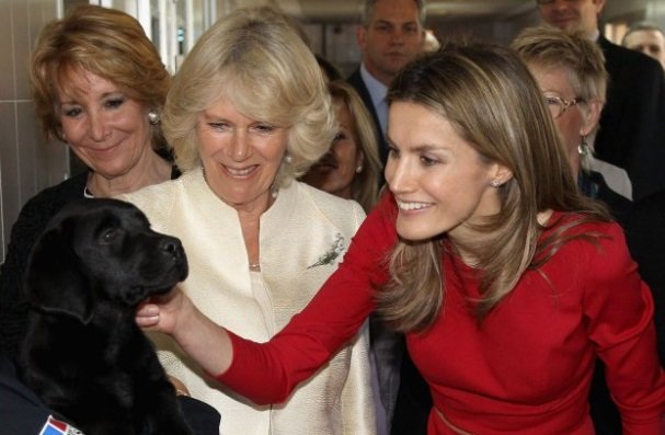 letizia camilla perro