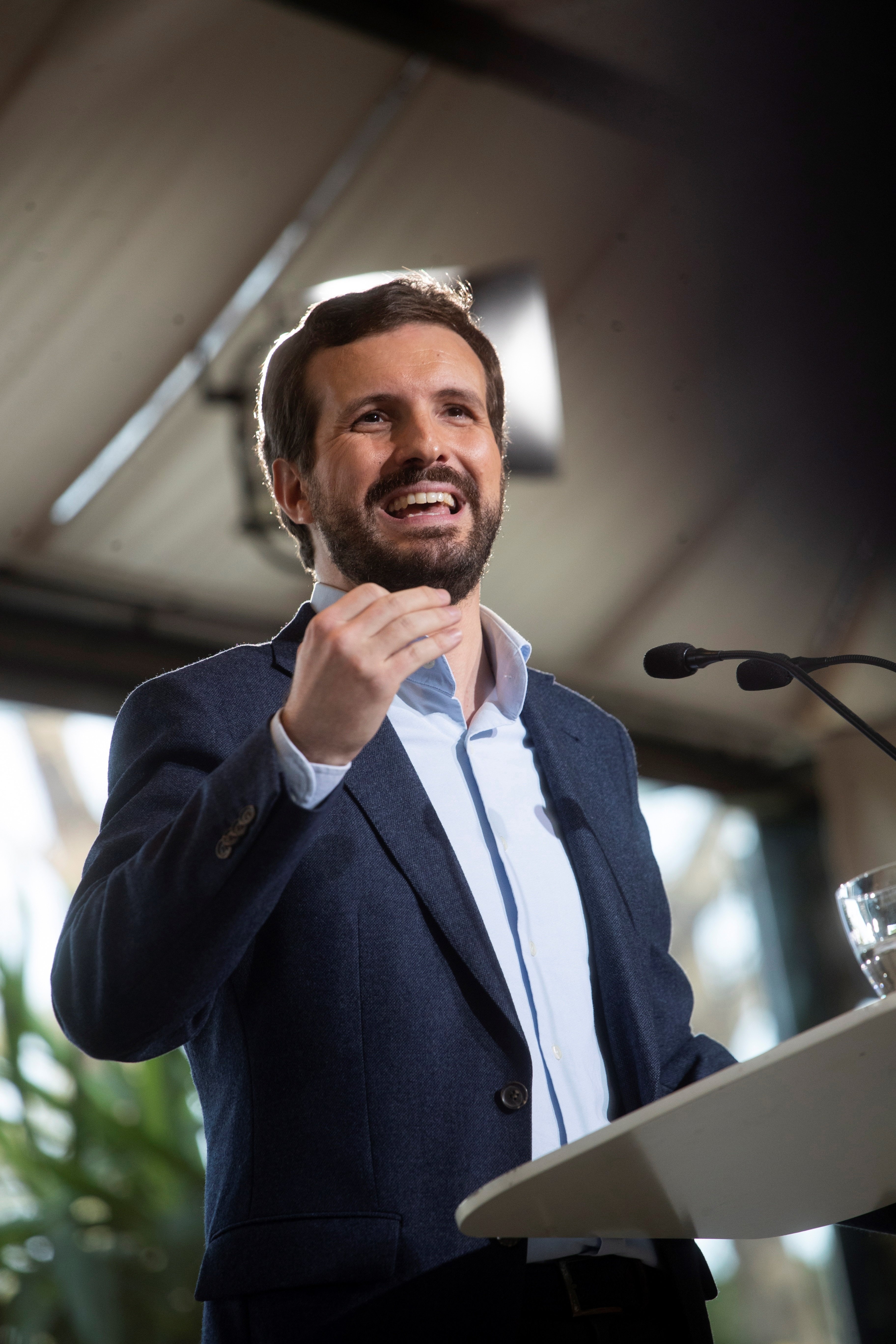 presidente PP Pablo casado - efe