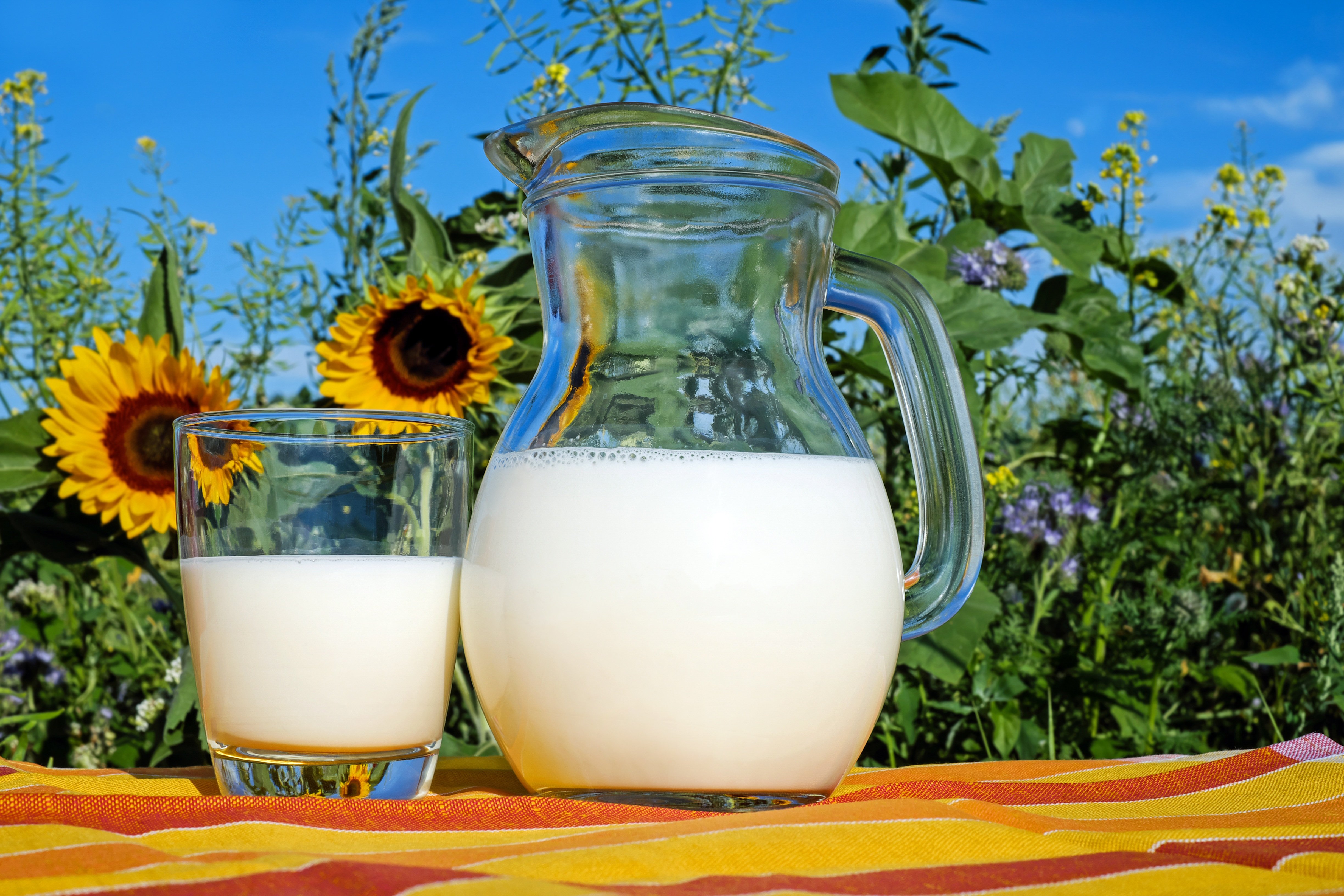 Vaso y jarra de leche