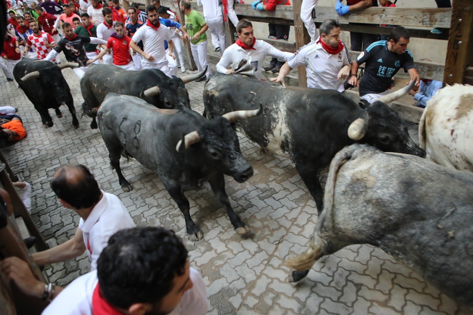 Pamplona se vuelve a quedar sin Sanfermines