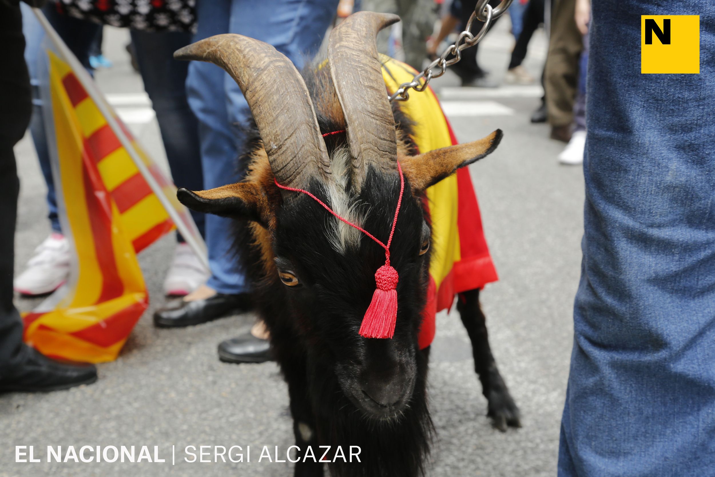 Concentració Legionaris Sergi Alcazar