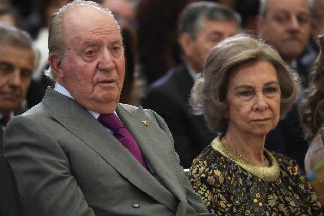 juan carlos sofia cara sería GTRES