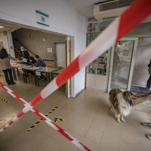 Resignación, obligación y disfraces en una jornada electoral única