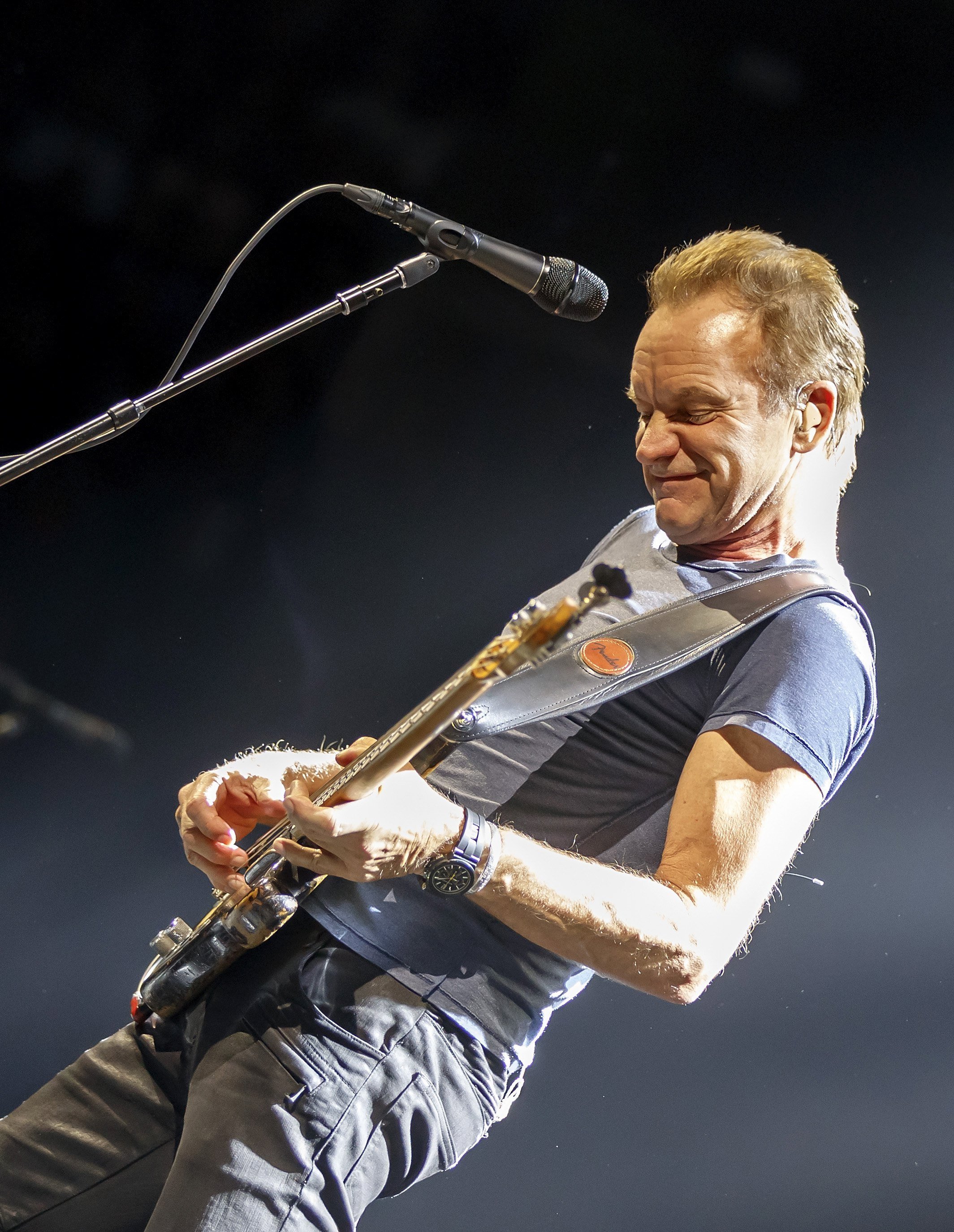 Sting, The Beach Boys y Gérard Depardieu, protagonistas del Festival Jardins de Pedralbes