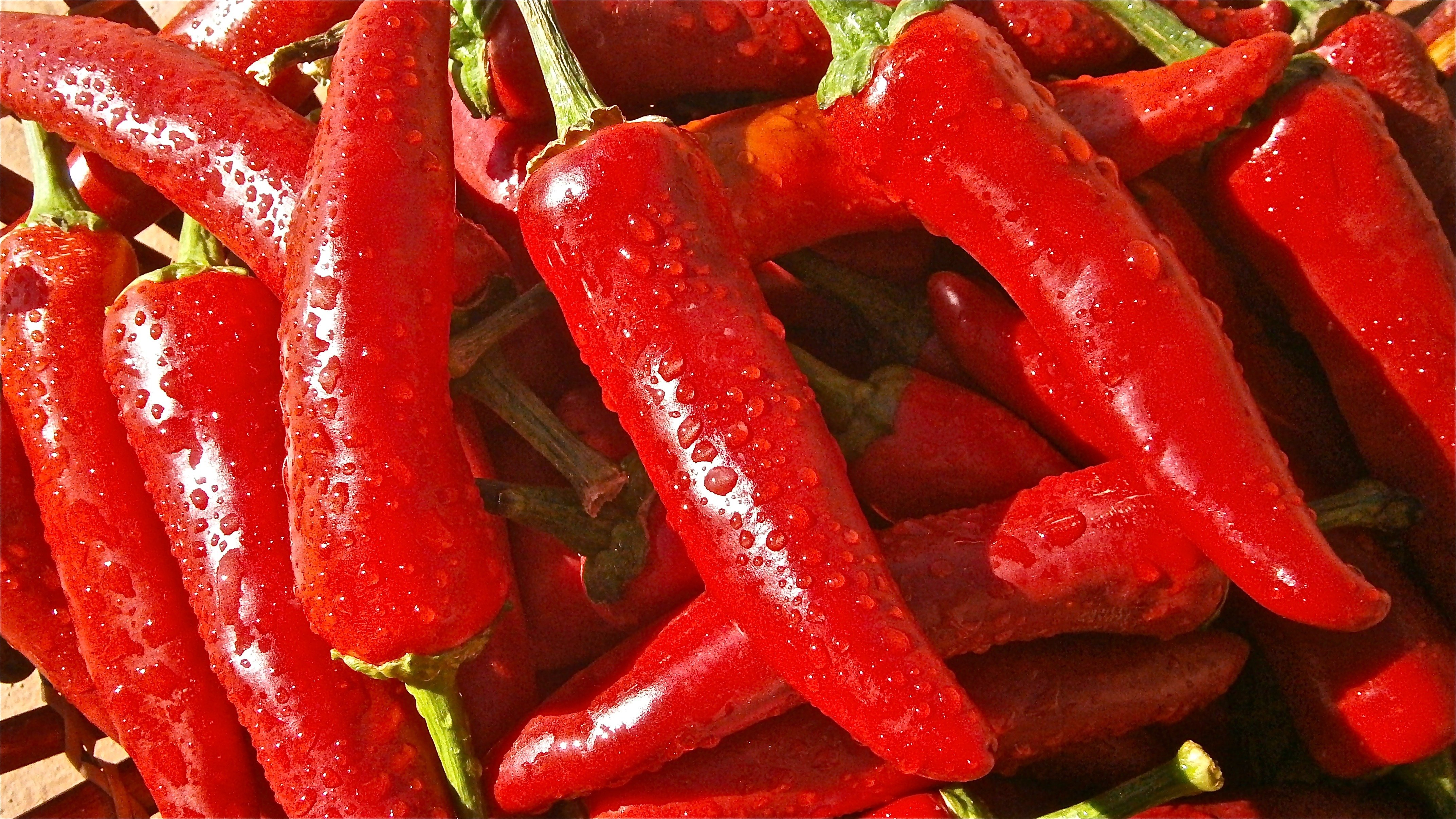 Chiles rojos