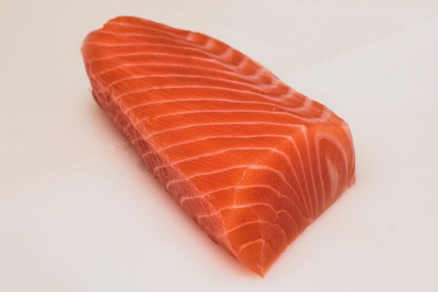 Salmon