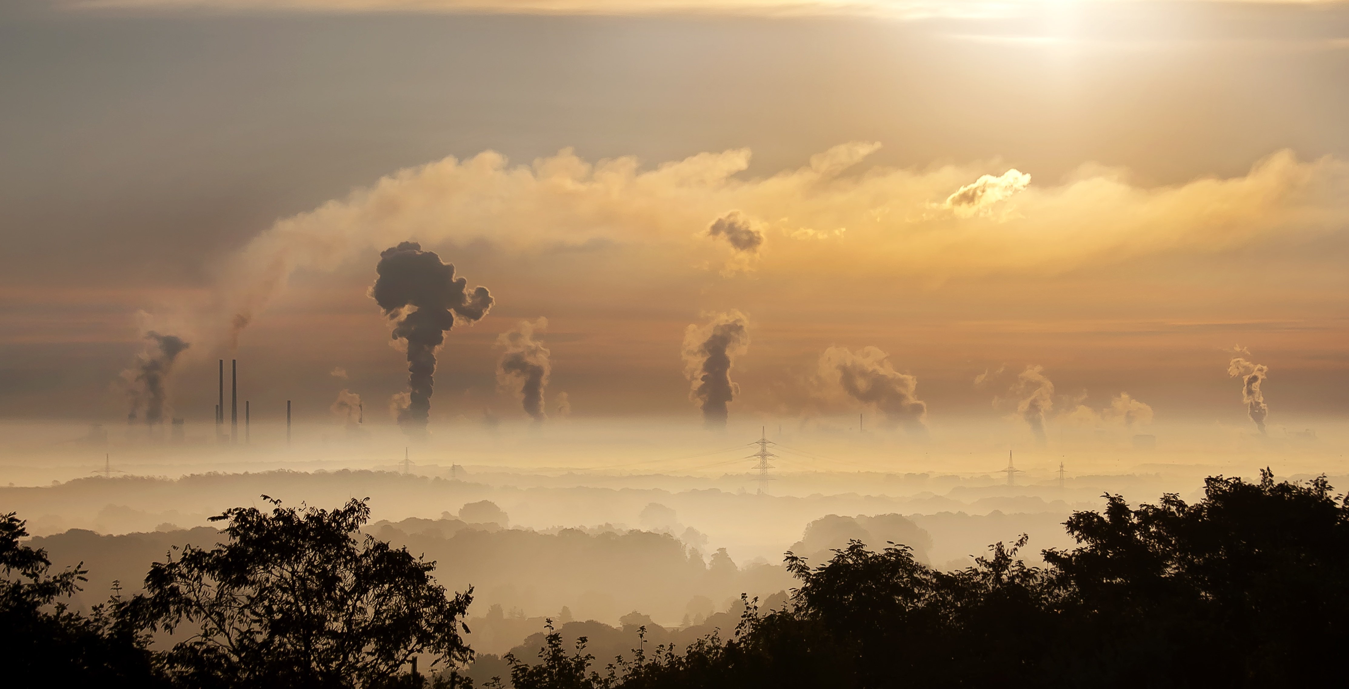 Contaminación