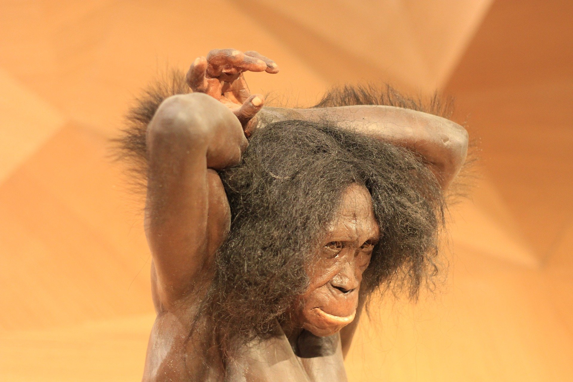 Los neandertales también tenían la capacidad de hablar
