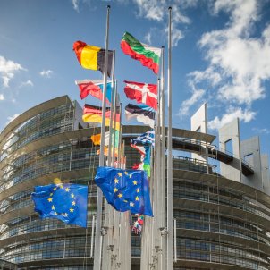Una cinquantena d'eurodiputats reclamen a Rajoy que "aturi immediatament la repressió"
