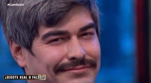 bigote hormiguero 2