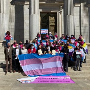 colectivo trans manifestación frente al congreso diputados / Nicolas Tomàs
