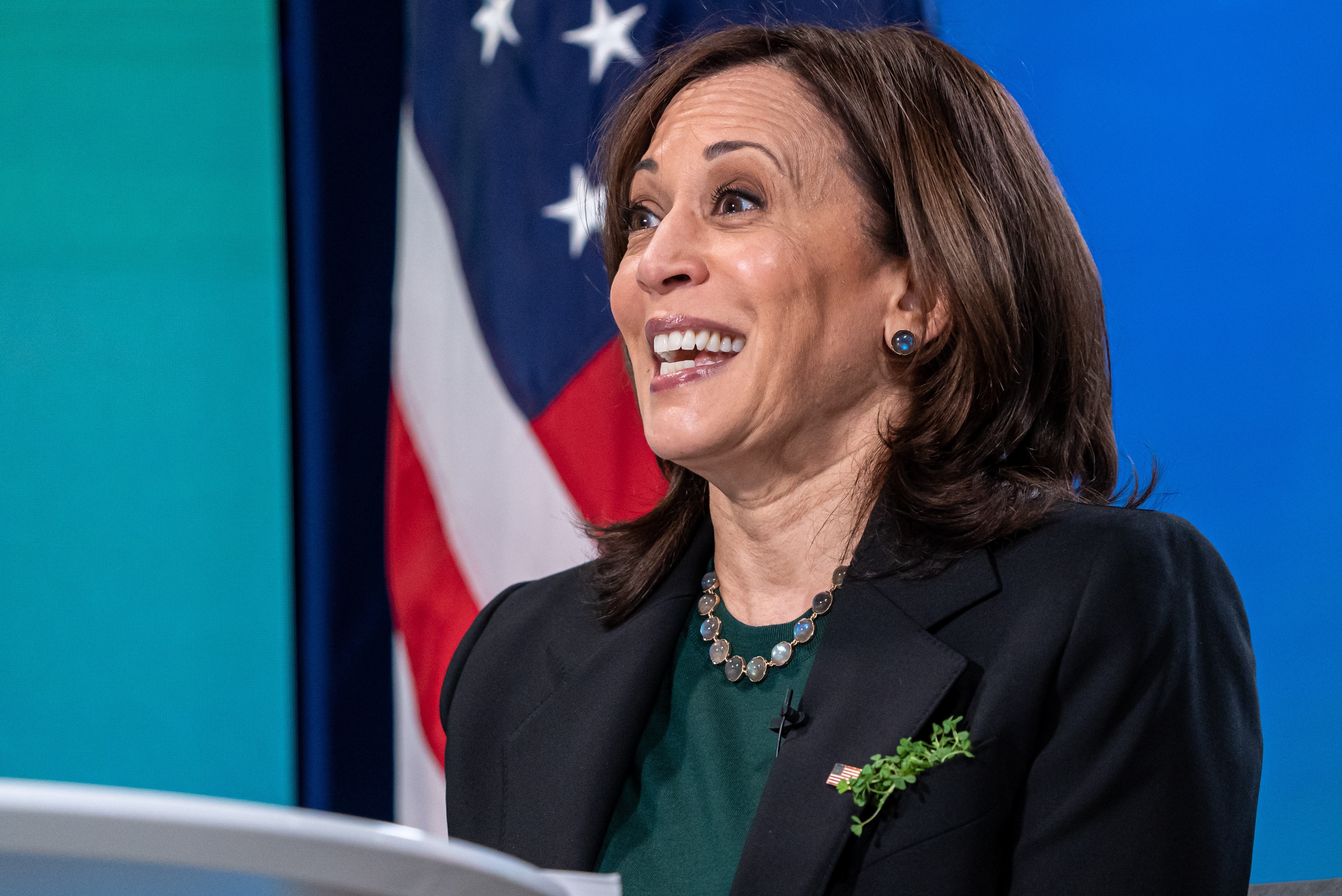 Un hombre se presenta con un fusil en la residencia de Kamala Harris