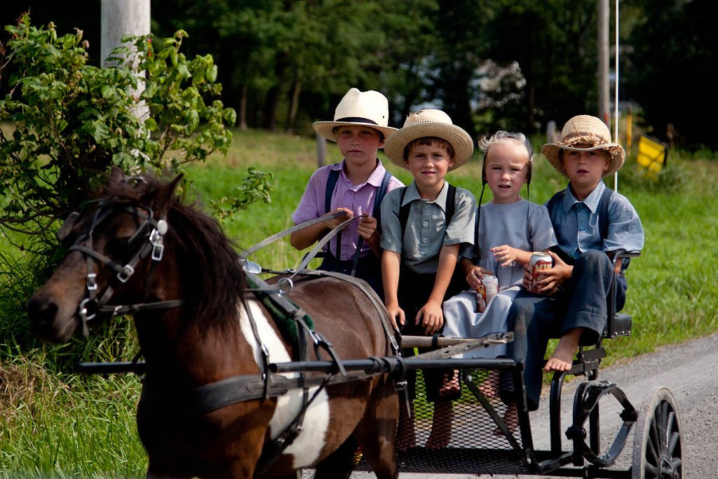 niños amish