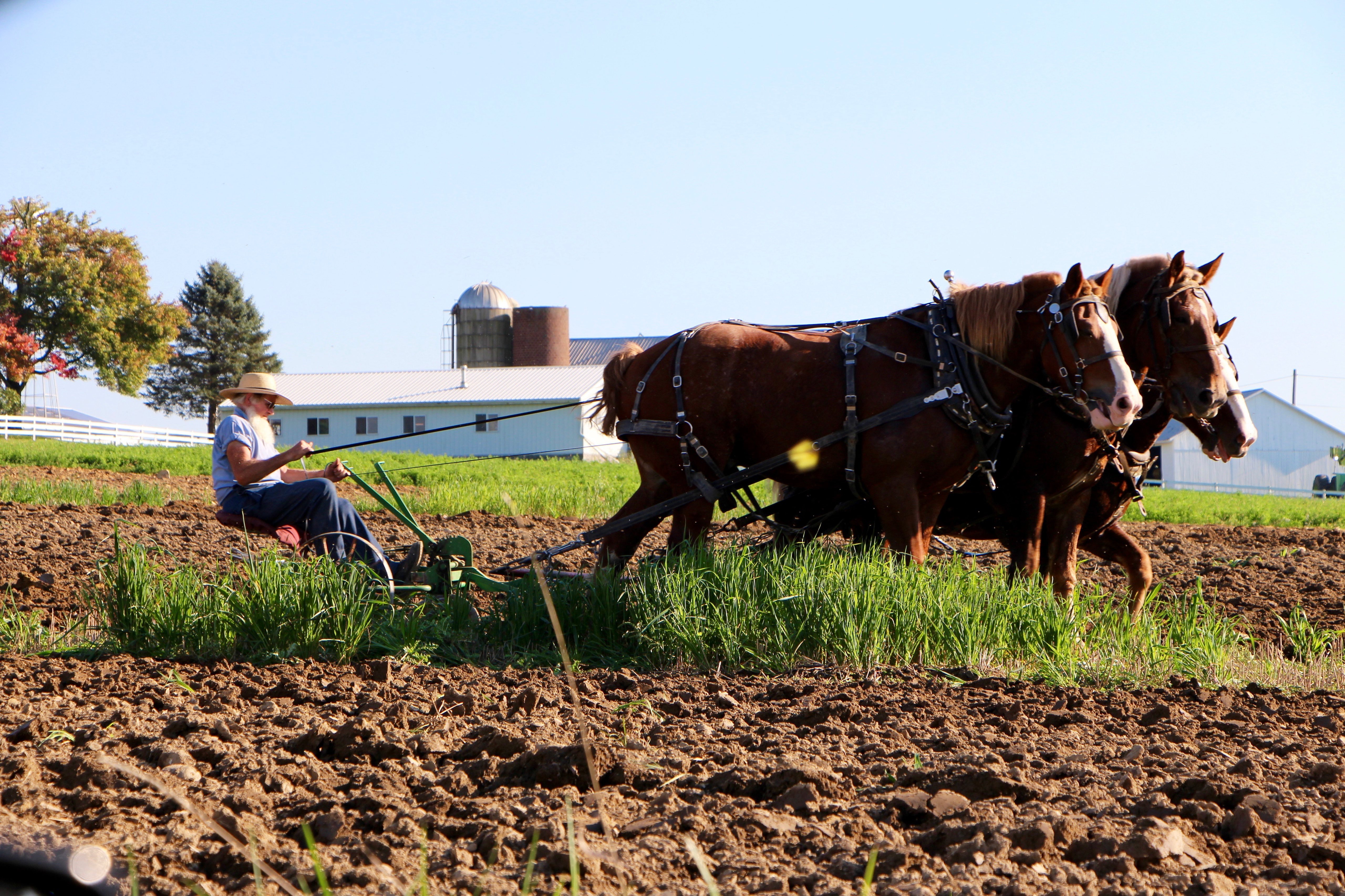 amish trabajando en lo salvo unsplash