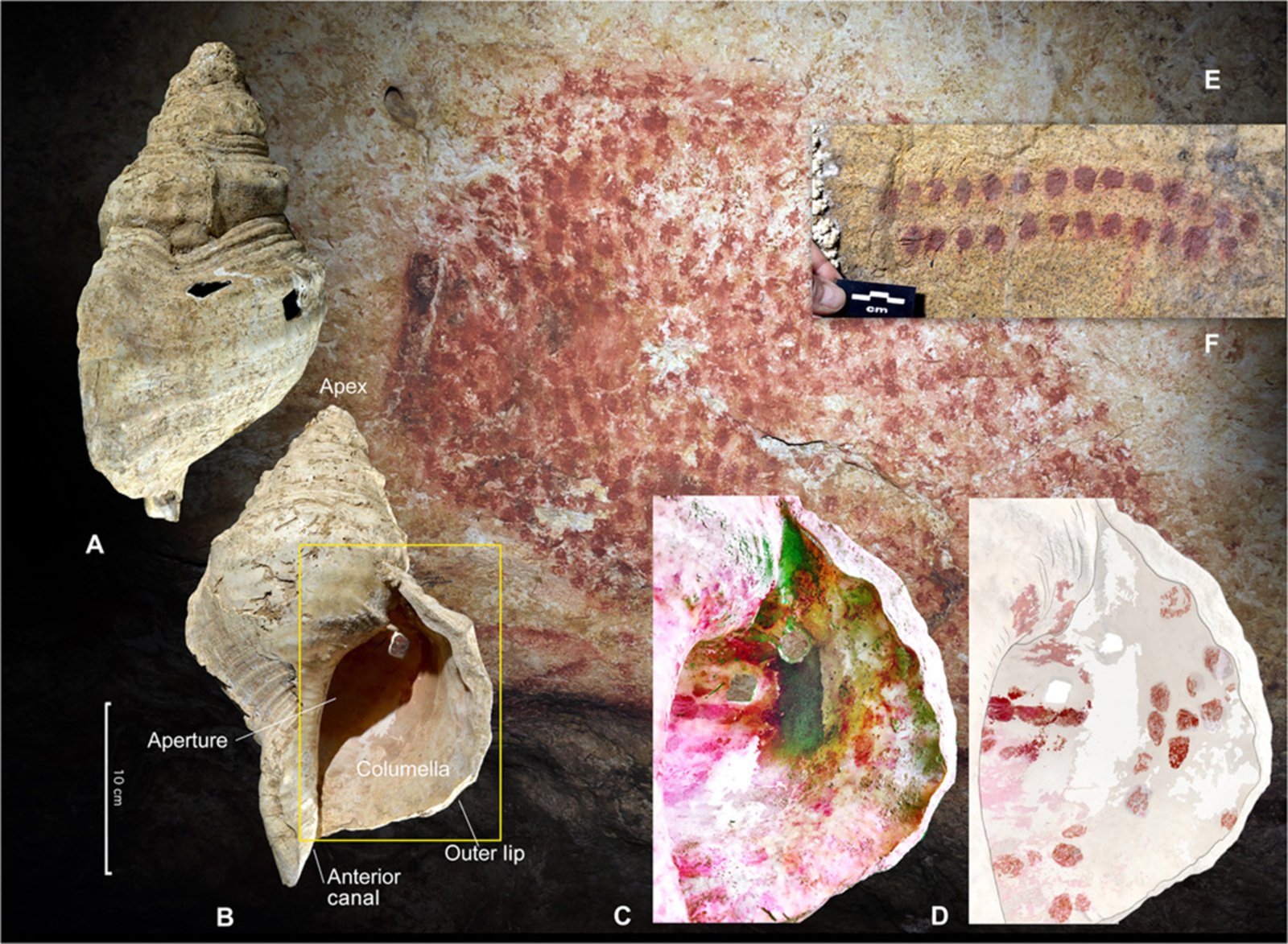 Escucha aquí cómo suena un instrumento de hace 18.000 años