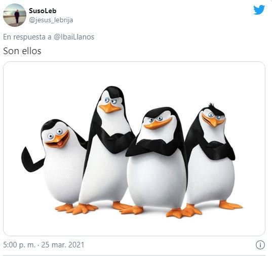 pinguinos1