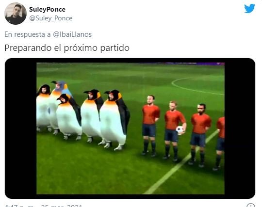 pinguinos2