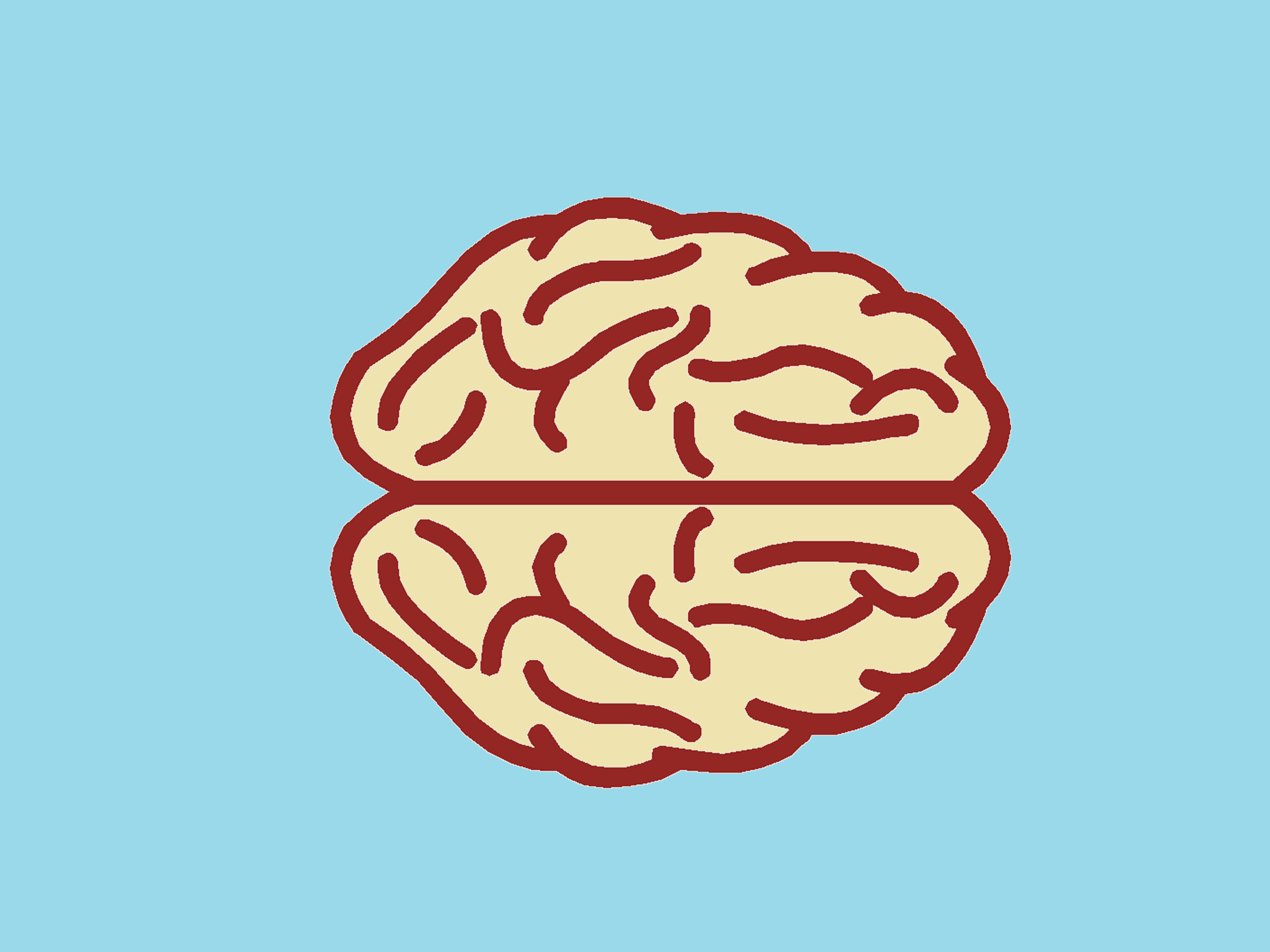 Diseño cerebro