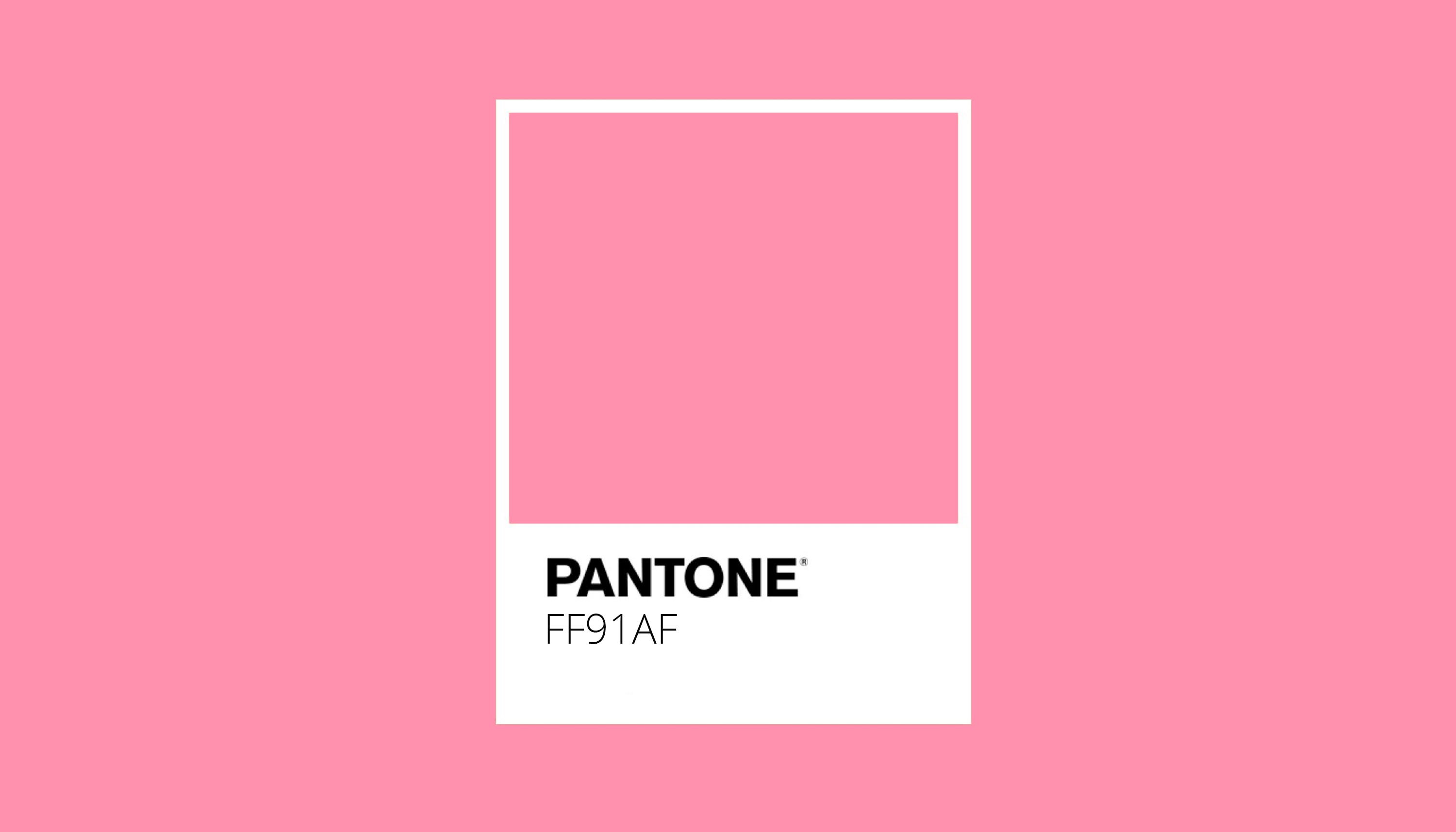 2019. Pantone 16-1546 живой коралл / Living Coral. Пантон коралловый палитра. Pantone 16-1546 живой коралл. Пантон Burnt Coral.